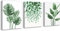 Botanical Green Canvas Wall Art/Monstera Palm Banana Leaves Wall Decor Simple Life Minimalist Watercolor Painting Tropical Plants Living Room Decor Home Office Nursery Wall Decoration 30x40cm