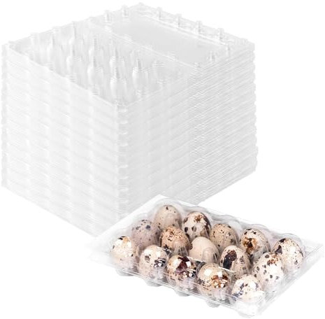 NAMYEUT 60 Stück Wachteleierschachteln 15er Plastik, 15 Gitter Kunststoff Wachteleier Kartons PVC Eierhalter, Transparente Eierschachteln mit Deckel für Wachteleier Verpackung