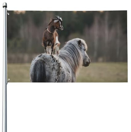 150 x 90 cm (5 x 3 Fuß) lustige Tiere, Ziege steht auf Pferdeflagge für Haus, Rasen, hängende Dekoration, Hofbanner, Urlaub, Willkommensflaggen mit 2 Metallösen, für drinnen und draußen