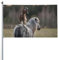 150 x 90 cm (5 x 3 Fuß) lustige Tiere, Ziege steht auf Pferdeflagge für Haus, Rasen, hängende Dekoration, Hofbanner, Urlaub, Willkommensflaggen mit 2 Metallösen, für drinnen und draußen