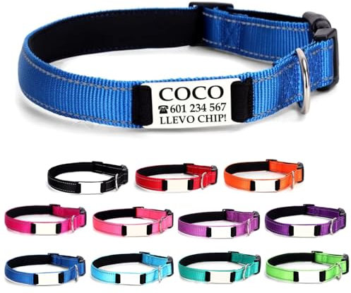 Ibera gifts - Collar Perro Personalizado con Nombre para Mascotas Pequeñas, Reflectante, Ajustable De 25 a 40 cm, Grabado Láser, Seguro y Cómodo (Azul, S pequeño)