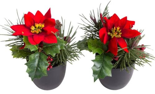 Botanic-Haus künstliches Poinsettien-Weihnachtsarrangement Weihnachtsstern im schwarzen Kunststofftopf, Farbe: rot (2 Stück)