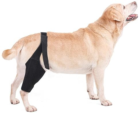 SUYUKU Hunde-Kniebandage für ACL mit seitlichen Stabilisatoren, Chirurgie, Erholung, Leckmanschette, Gelenkgelenkstütze, Beinbandage, Karpalstütze, schützt Wunden, heilt Verletzungen (Schwarz, S)