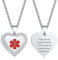 VNOX Personalizar Personalizado de Acero Inoxidable CZ Cubic Zirconia Heart Medical Alert Collar Colgante para Mujeres,Regalo para Mujeres