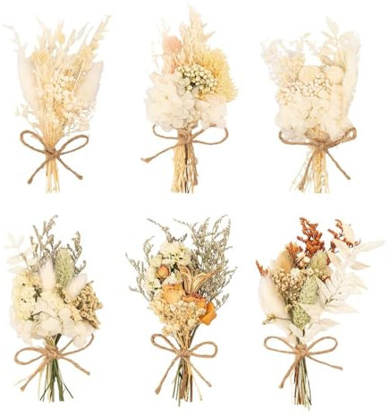 6 Mazzi di Fiori Secchi, Bouquet di Fiori Secchi, Decorazione Vaso da Scrivania, Decorazione Artigianale con Fiori Secchi, Decorazione per La Casa, Piccoli Fiori Secchi in Cornice per Foto