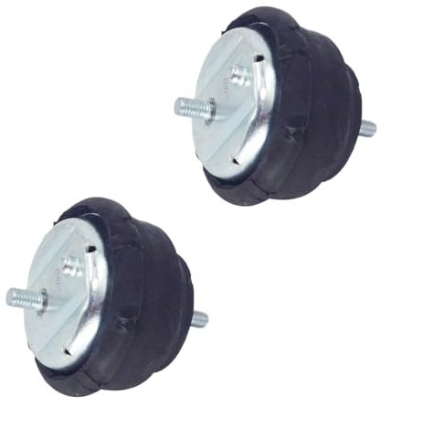 Hajus 1151216001 2x Motorlager Motorlagerung Hydrolager Vorne 22111095444 kompatibel mit BMW 3er E36 E46 Z4 E85