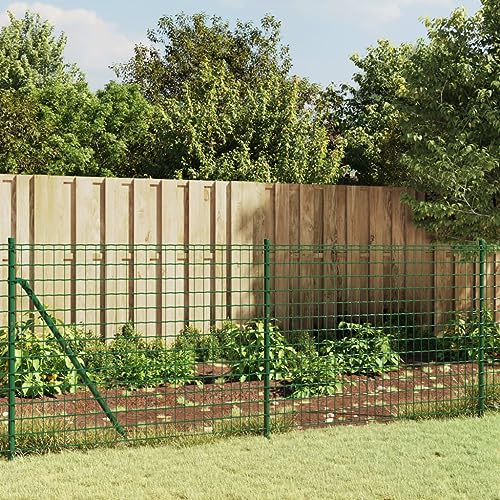 Solivagant Clôture en Treillis métallique et Piquet d'ancrage Vert 0,8x10m,(14.05 KG)