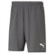 PUMA Unisex XShorts XL