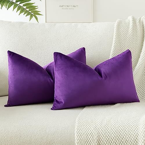 JOTOM Samt Kissenbezug Kissenhülle Sofakissen Dekokissen Kissenbezüge für Sofa Wohnzimmer Schlafzimmer 2er Set 40x60 cm Lila