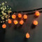 Riaxuebiy Niedlich Schwein Lichterkette,Rosa Schwein Nachtlicht Batteriebetrieben Feenlampe für Kinderzimmer Halloween Klassenzimmer Geburtstag Ostern Dekoration (1.65m/10led)