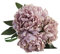TIREOW Blumenstrauß Romantische Hochzeit Bunte Künstliche Hochzeitsstrauß Rosen Seidenblumen Kunstblumen Blumen Brautstrauß der Braut (Grau)