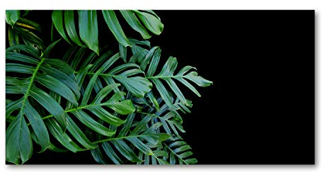 Tulup Acrylglas - Wandkunst - Bild auf Acrylglas Deko Wandbild hinter Kunststoff/Acrylglas Bild - Dekorative Wand für Küche & Wohnzimmer 120 x60 cm - Blumen & Pflanzen - Fensterblatt - Grün