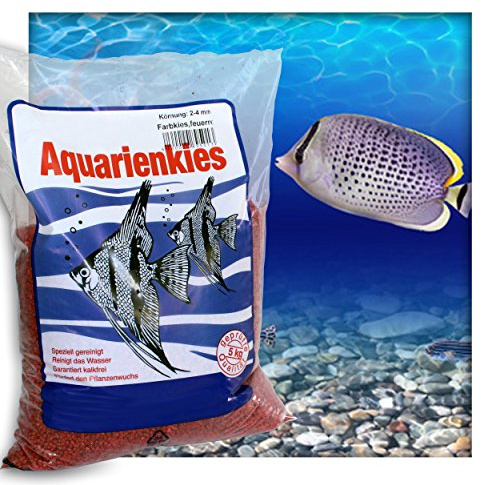 Kieskönig Farbkies Feuerrot Aquarium Deko Kies Aquariengrund Aquariumkies Bodengrund Körnung 2-4 mm 15 kg (3X 5 kg Beutel)