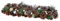 Festive 4 x Teelichthalter Tannenzapfen 45cm gefrostet mit Glitzer Holz/Nordic Style