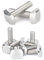 ANSIEDIO Pernos en T, Tornillo en T de Acero Inoxidable, M10*20mm,2 pcs