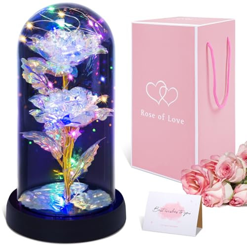 Wotplay Ewige Rose im Glas mit LED-Licht,Geschenk für Frauen Exquisit und Schön Ewige Rose als Romantisches Weihnachten, Valentinstag, Geburtstag, Jahrestag oder als Muttertagsgeschenk für Mama