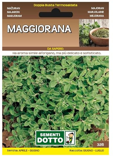 Sicignano | Semi Maggiorana, Pianta Aromatica Perenne, Busta Extra - 6 Confezioni da 1.1g, Ideale per Aromatizzare Piatti Freschi o Essiccati, Pianta da Taglio, Adatta a Pieno Sole