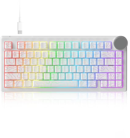AK820 V2 8KHz Magnetische mechanische Tastatur Bingyu Hall-Effekt Rapid | 0,01 mm verstellbare Betätigung, Dichtungshalterung, RGB-Metallknopf, USB-C verdrahtet, 75 % 81 Tasten, Hot-Swappable