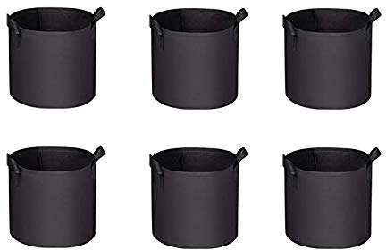 Eighosee Lot de 6 de plantation de 10 litres - Respirant - Non tissé - Beau sac de plantation