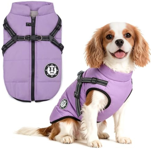 LUOWAN Hundemantel für kleine Hunde, Hundemantel mit Geschirr, Reflektierende Outdoor-Hundeweste, Winter Hundejacke für Katzen, Welpen, kleine, mittlere Hunde