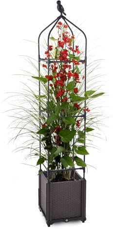 Gartenwelt Riegelsberger Jardinera con soporte para enredaderas en forma de pirámide, 3 niveles, 30 x 30 x 160 cm, maceta para interior y exterior