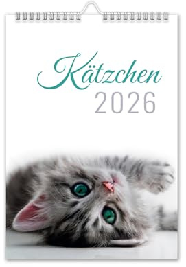 Kalender 2026 Katzen Kätzchen Wandkalender DIN A4 Katzenkalender mit Schulferien Katzen-Motiv Tiere V4