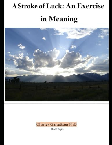 A Stroke of Luck: an Exercise in Meaning