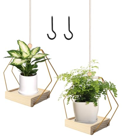 BDHYYM 2 Stück Blumenampel Hängend Innen,Hängender Blumentopf Hängend | Metallring mit Holzsockel,Hängetopf für Pflanzen,Hängeampel Blumen,Blumenampel Innen,Hängepflanzen Topf,Aufhängehaken Enthält