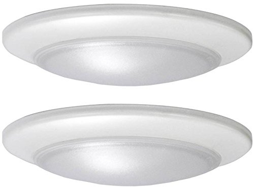 Project Source 2-Pack 7.4-in W White LED Flush Mount Light