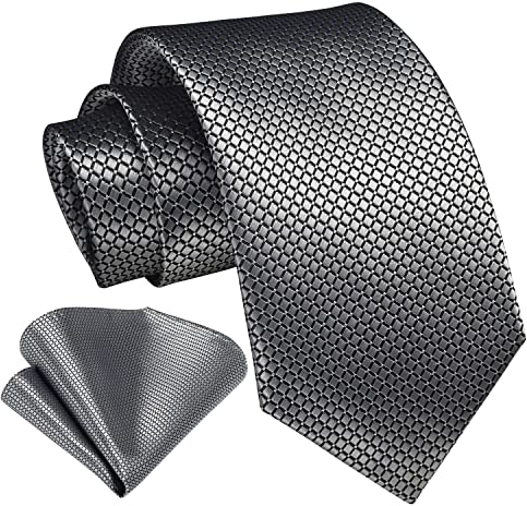 HISDERN Krawatten für Herren Grau Silber Krawatte mit Einstecktuch Formelle Klassische Hochzeit Herrenkrawatte und Taschentuch Set für Männer