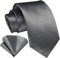 HISDERN Krawatten für Herren Grau Silber Krawatte mit Einstecktuch Formelle Klassische Hochzeit Herrenkrawatte und Taschentuch Set für Männer