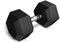 TREX SPORT Hexagon Hanteln | gummierte Kurzhanteln 2,5kg-20kg mit verchromtem Griff | Hanteln Dumbbells (1x10 kg)