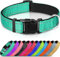 Joytale Collar Perro Reflectante,Nylon Collar Acolchado con Neopreno,Ajustable para Perros Pequeño,30-40cm,Verde Azulado
