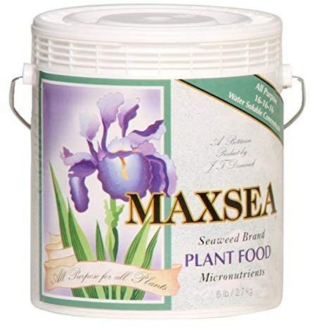 Maxsea 722255 All Purpose Plant Food, 6 lb