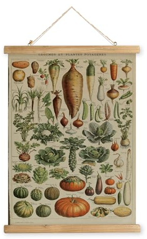 XIAOAIKA Affiche Vintage de Légumes avec Cadre en Bois, Peinture Artistique de Décoration Murale de Style Rétro, Motifs Imprimés sur Toile sans Décoloration, Prête à Être Accrochée (40x58cm)