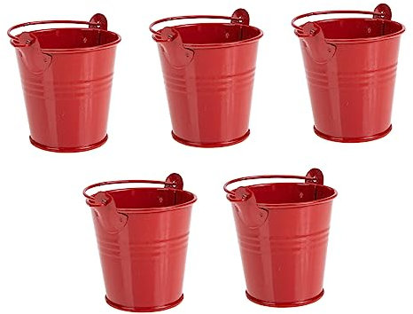 CANIGHT 5stücke Iron Flower Buckets Mini Eimer Für Sukkulenten Kreative Blumenkübel Für Balkon Und Garten Vintage Deko-pflanzbehälter Für Gartenliebhaber