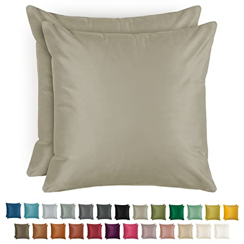 Blumtal 2er Set Kissenbezug 40x40 cm Taupe - dekorativer Samt Kissenbezug mit verstecktem Reißverschluss, Kissenhülle für Zierkissen Deko-Kissen Polster Sofakissen & Couchkissen, waschbar