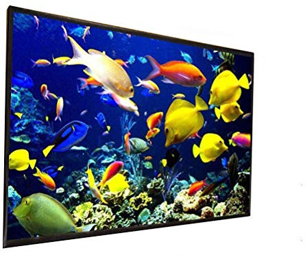 Pantalla de proyector Exterior 150 200 Pulgadas 300 Pulgadas Material de Tela Blanca 180 250 Pulgadas Opcional 16:9/4:3 para LED (Tamaño : 300 Pulgadas) ()