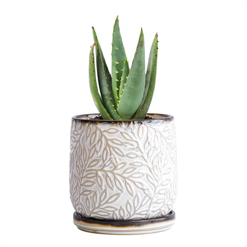D'vine Dev Embossed Leaves Ceramic Planter, 4 in, Smoked White, 27-A-Z-1