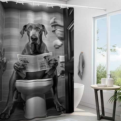 Reateforin Black Gray Great Dane Reading Newspaper on The Toilet Shower Curtain Cute Great Dane Funny Animal Bathroom Curtain Great Dane Animal in Toilet Shower Curtian Polyester Waterproof 72x72
