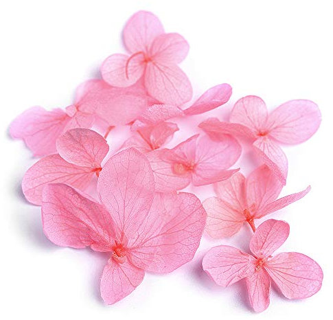 KADS 6 Colours 3D Dry Real Dried Flower Nail Art Tips DIY Decoration UV Gel Acrylic False Tips Nail Art Salon (Pink)