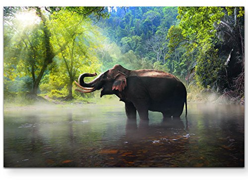 Leinwandbilder | Bilder Leinwand 120x80cm Elefant im Dschungel