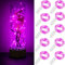 10 Stück LED Lichterkette Batteriebetrieben 1m 10 LED Silberdraht Rosa Wasserdicht Flasche Stern Lichterkette für Weihnachten Party Hochzeit Zimmer Dekoration Außen Innen