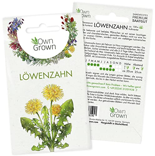 Löwenzahn Samen: Löwenzahn Saatgut zur Anzucht von 100 Kräuter Pflanzen – Wildkräuter Samen – Kräuter Garten Pflanze – Kräuter Saatgut von OwnGrown
