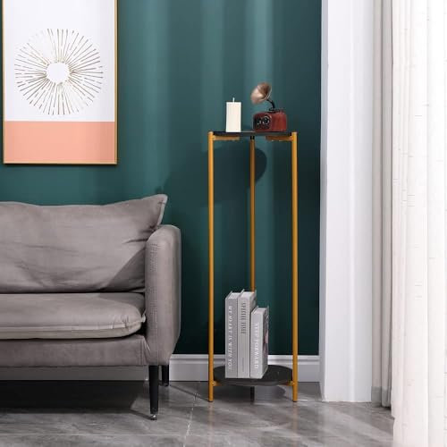 nozama Plant Stand Indoor Outdoor,90cm Tall Plant Stands for Indoor Plants,Small Side Table,2 Tier Flower Stand for Living Room,Balcony,Deck (Round black 2 tier)