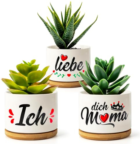 WEDNOK 3 Stück Mama Blumentopfe Beste Mama Geschenke Muttertagsgeschenk Ich Liebe Dich Mama Geburtstagsgeschenk Sukkulenten Topf mit Untersetzer für Mutter Geburtstag Muttertag Weihnachten