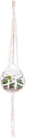 Atmosphera - Künstliche Pflanze zum Aufhängen - Glastopf - D10 cm - Transparent