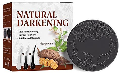 2022 Organic Grey Reverse Shampoo Bar, Organic Reverse Hair Darkening Shampoo Bar, Natural Conditioner and Repair Essence to Stop Hair Loss,Hair Loss Treatment (1 Stück)