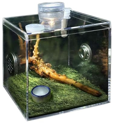 BURLOE Springspinne Gehege, Vogelspinnen Mit Lampe Acryl Reptilien Terrarien Zuchtbox Terrarium Tank Cricket Käfig Schnecken Geckos Fisch Isolations,1
