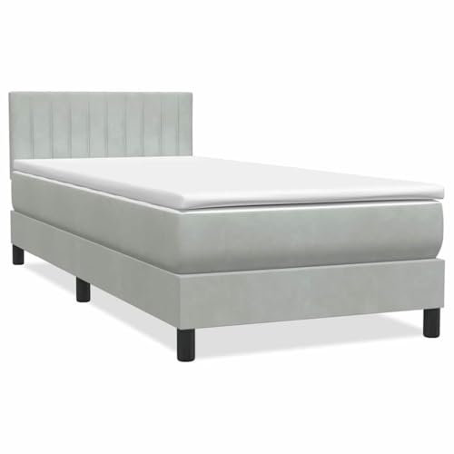 vidaXL Boxspringbett mit Matratze Hellgrau 100x220 cm Samt, Bett, Bettrahmen, Einzelbett, Schlafzimmermöbel, Lattenrost, Samtbett, Polsterbett